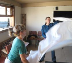 andréa ventura psicologa eventos